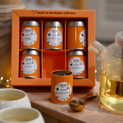 Coffret de 6 boites découverte : Les mini tisanes