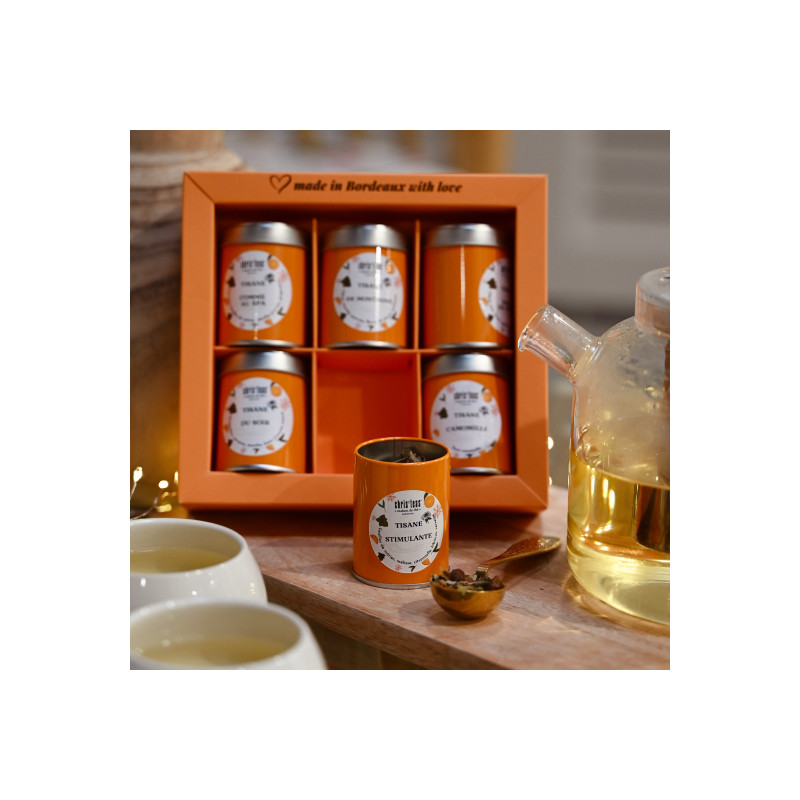 Coffret de 6 boites découverte : Les mini tisanes