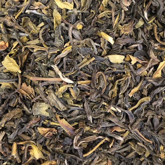 Darjeeling Oblong vert Arya, un thé vert nature d'Inde