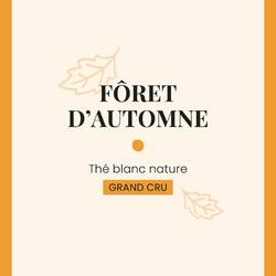 🍂 Forêt d’Automne, un grand cru fabriqué de manière traditionnelle. Ce thé blanc d’origine chinoise est réputé pour ses vertus antioxydantes, idéal pour la peau et le teint. À découvrir sans plus tarder !

#christeas #christeasbordeaux #maisondethe #depuis2001 #entreprisefamiliale #boutiquedethe #lartduthe #bychristel #assemblagedethe #thesignature #lethealabordelaise #the #tea #alheureduthe #infusezbuvezvivez #bordeauxmaville #boutiquechristeas #madeinbordeaux #maisondethefamiliale #ideecadeau #accessoires #tealover