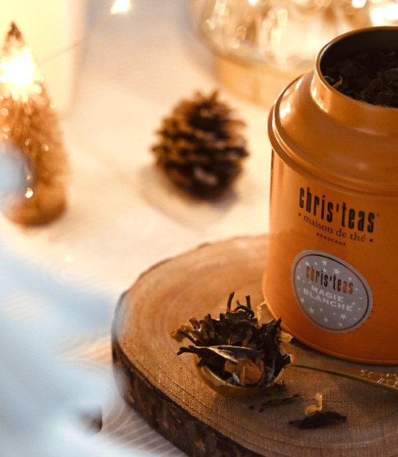 Laissez vous emporter par la magie de Noël !