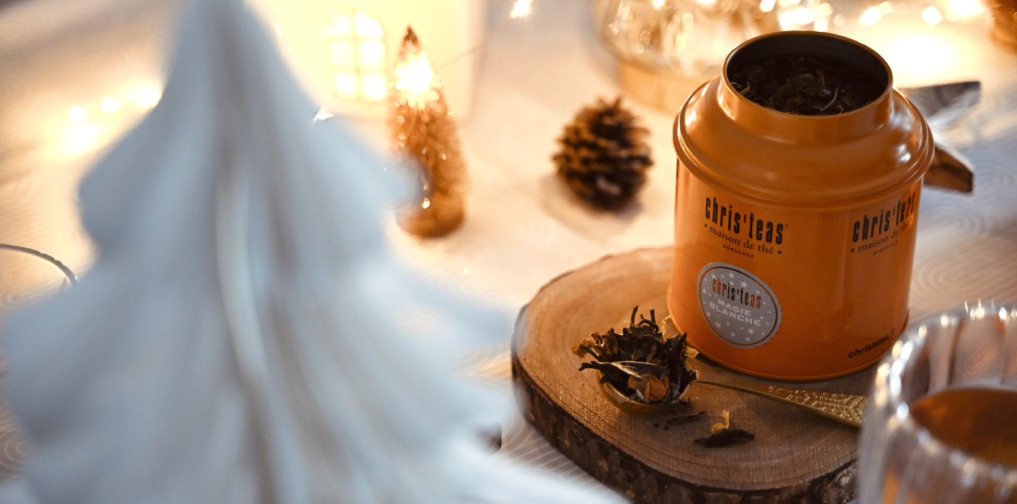 Laissez vous emporter par la magie de Noël !